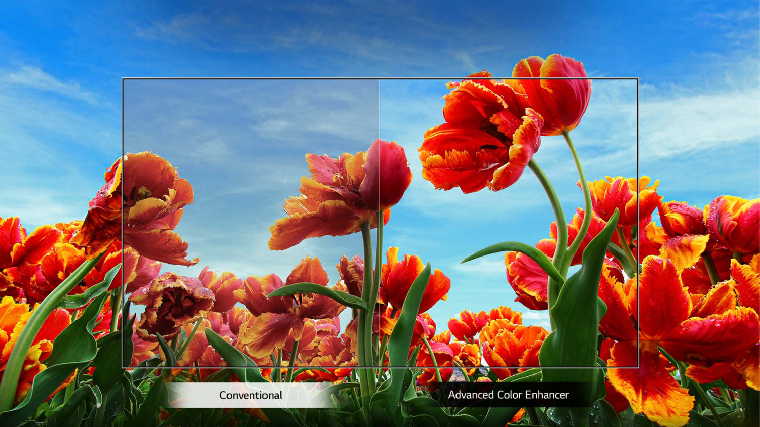 LG LED Smart TV Gallery gallery no.1